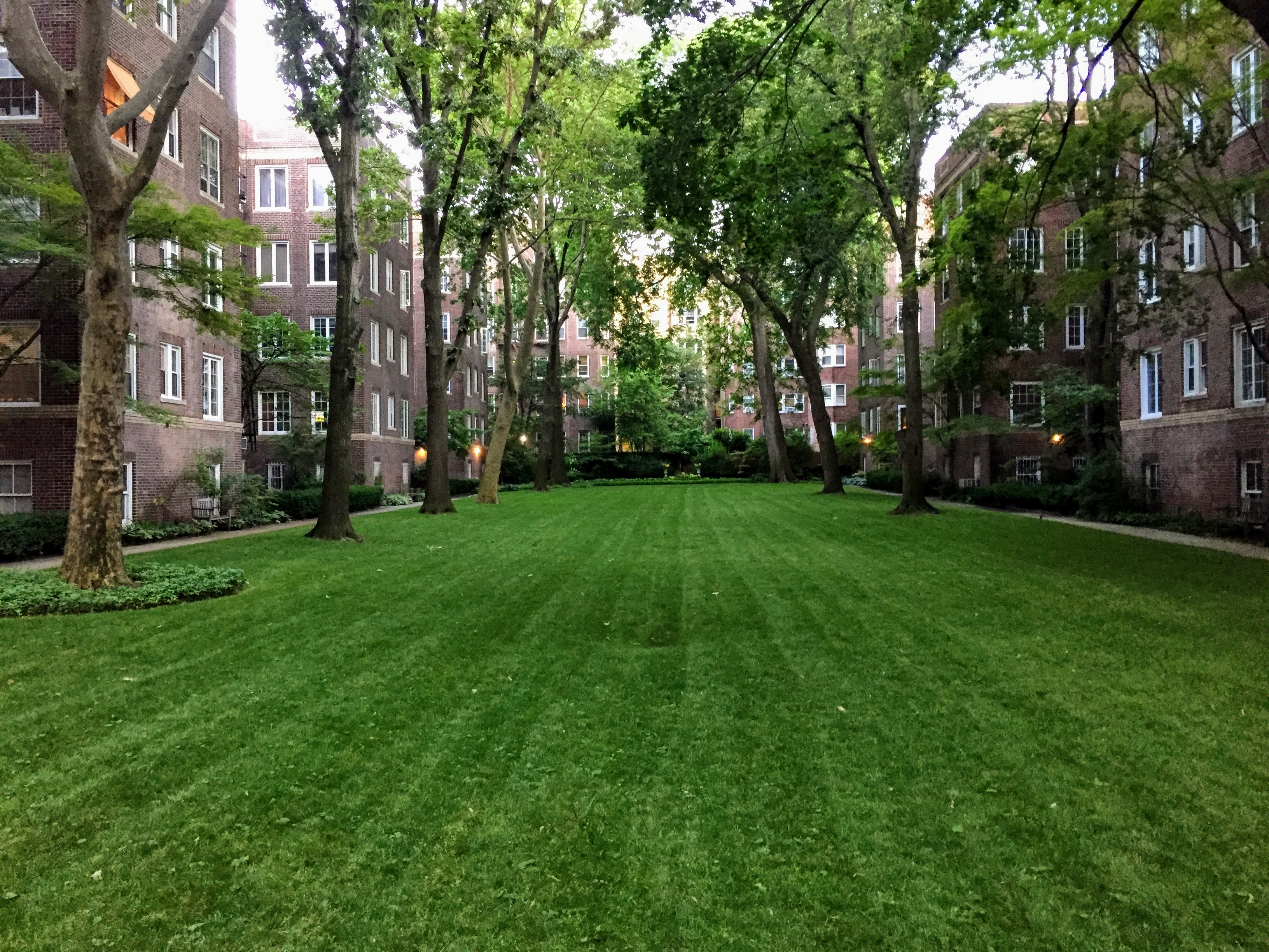 34-28 80th Street, Unit 2 Queens, NY 11372 - Photo 10 of 12 a view of a park with large trees