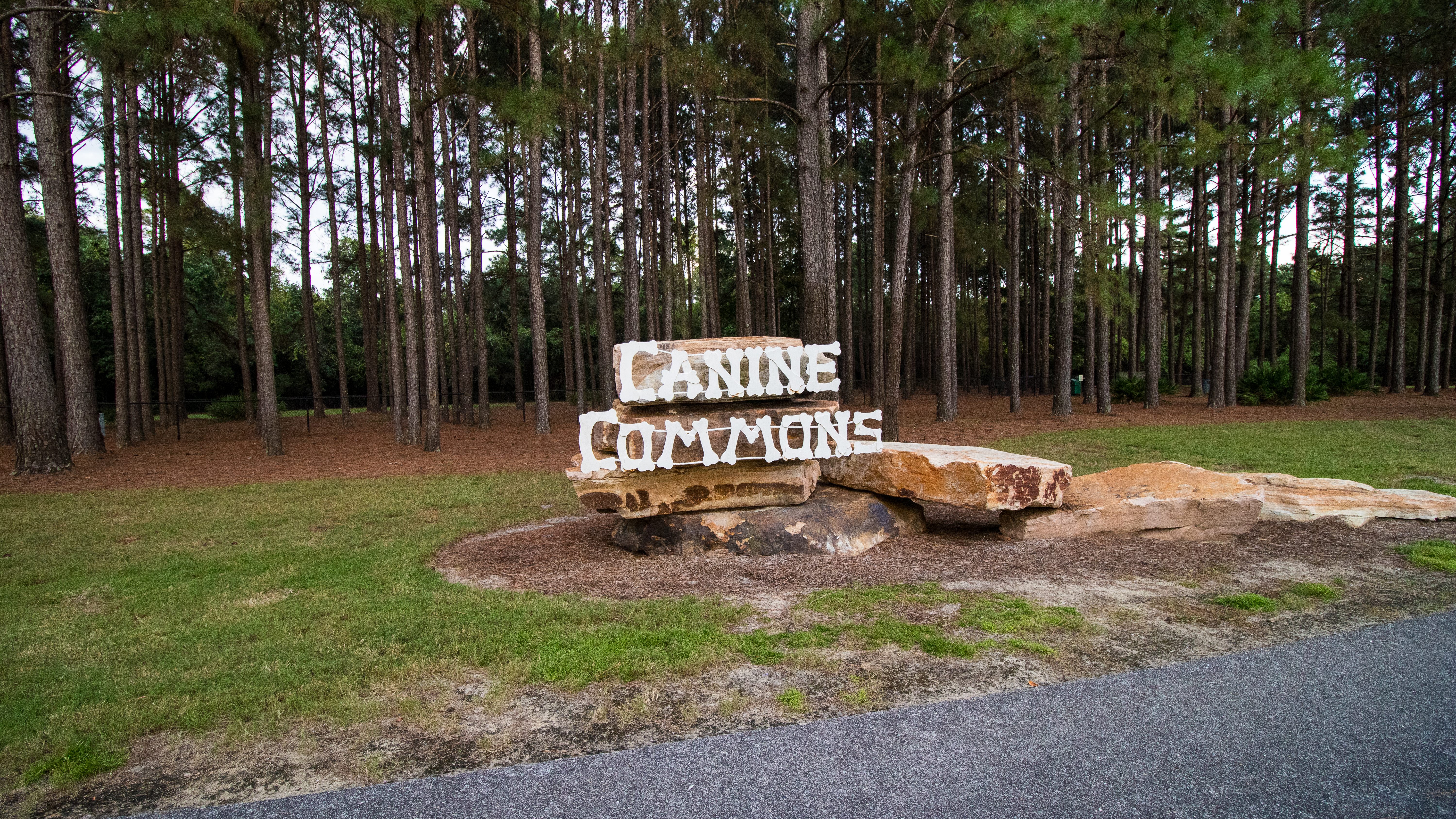 605 Earl Godwin Road Freeport, FL 32439 - Photo 9 of 25