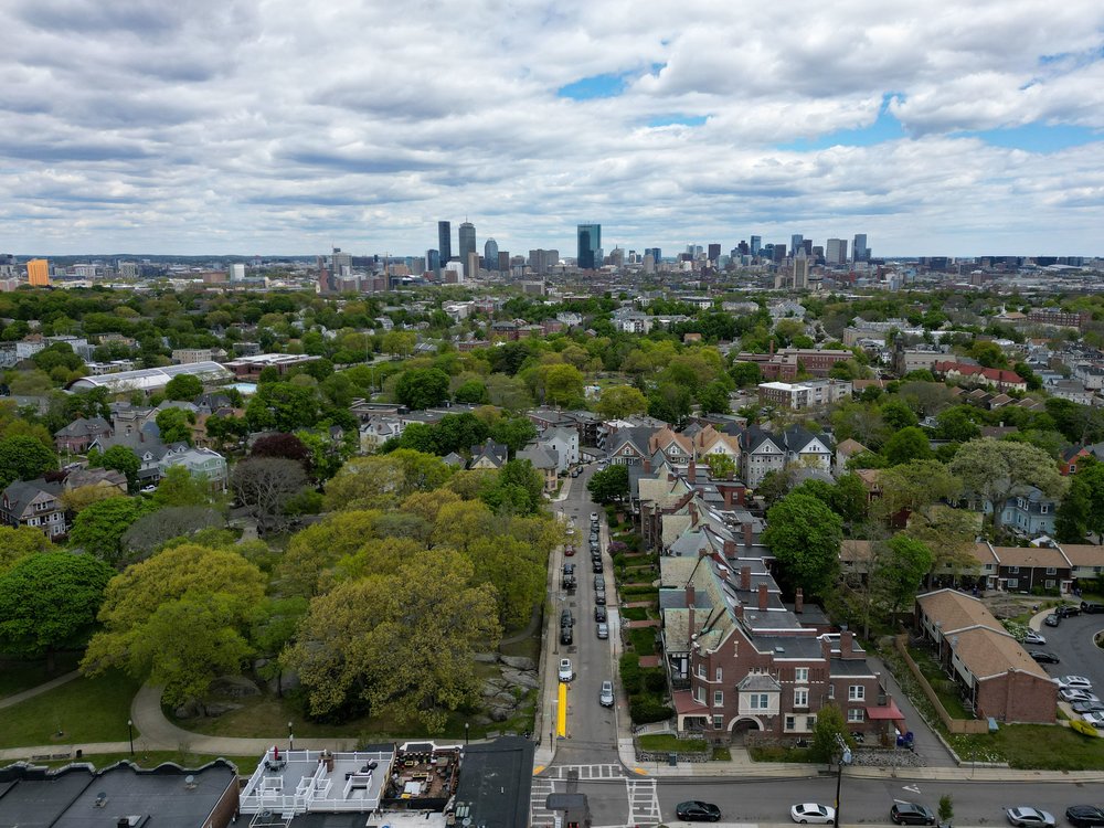 66 Harold Street Boston, MA 02119 - Photo 38 of 39