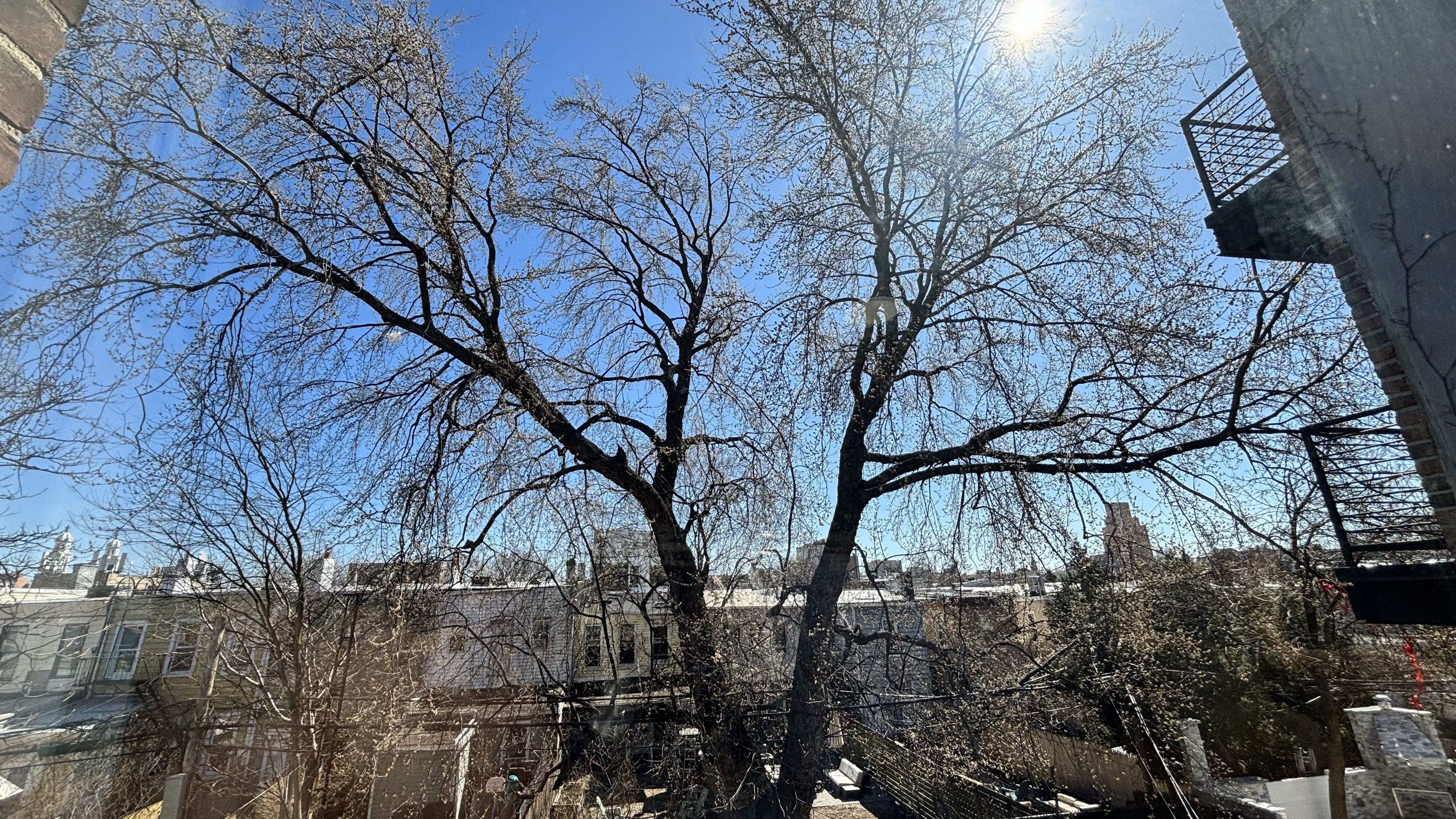 74 Himrod Street, Unit 2 Brooklyn, NY 11221 - Photo 3 of 16 a view of a backyard of house