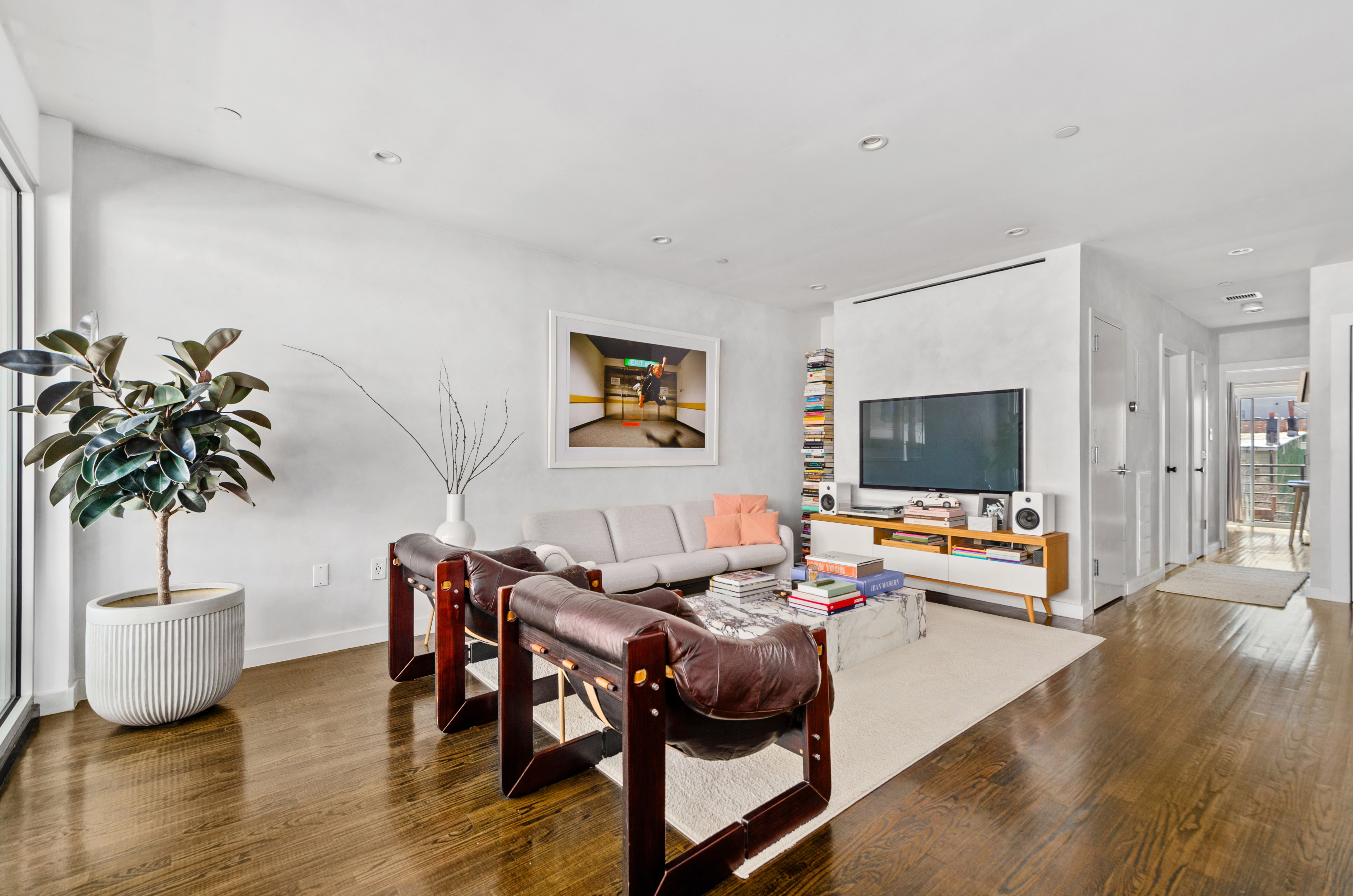 a living room with furniture potted plant and a flat screen tv