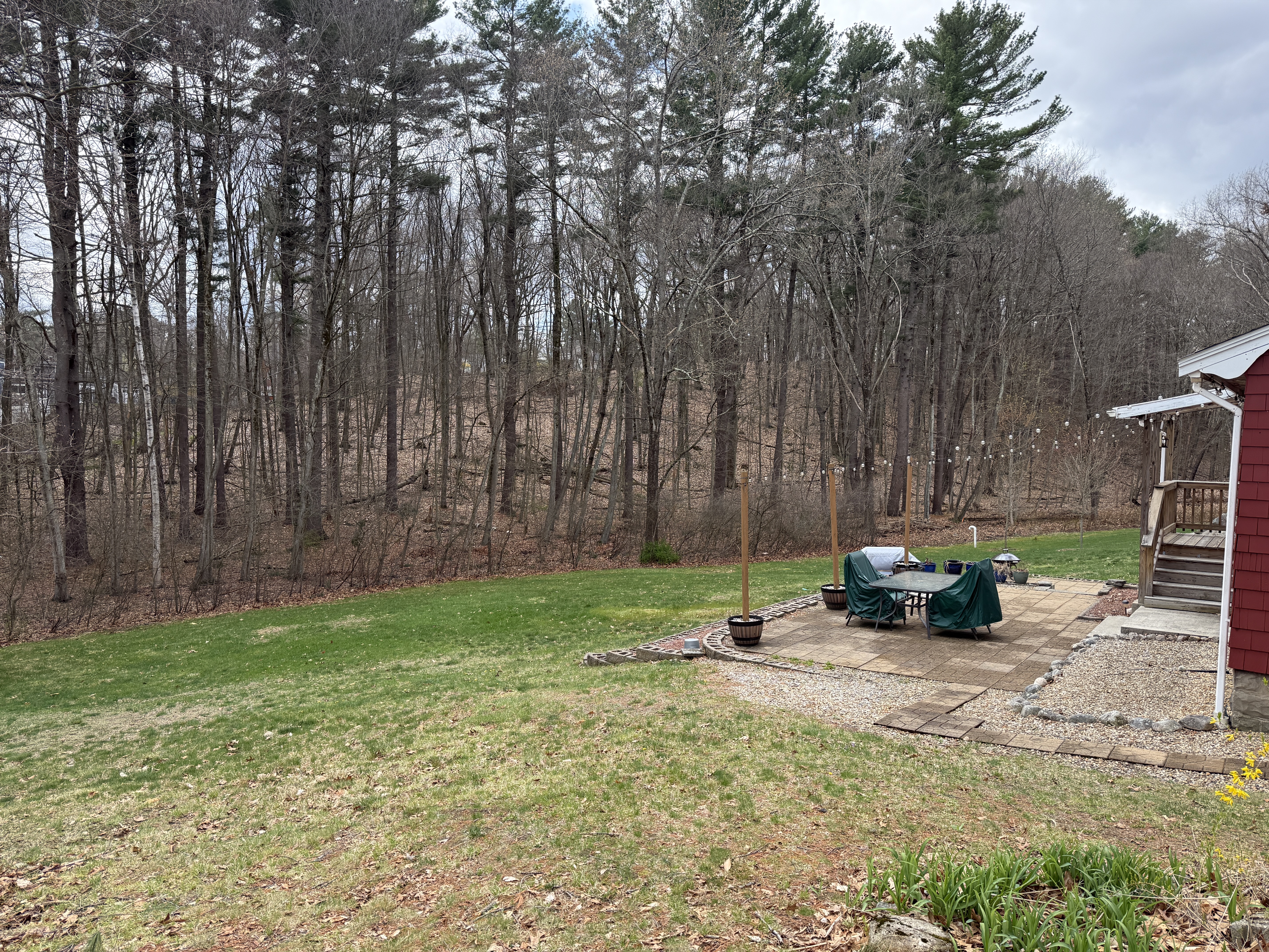 30 Stonebridge Road Wayland, MA 01778 - Photo 3 of 5 a view of a bench in the garden