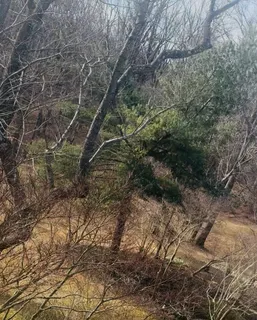 $1,400,000 | 3810 North Richmond Street, Arlington, VA 22207