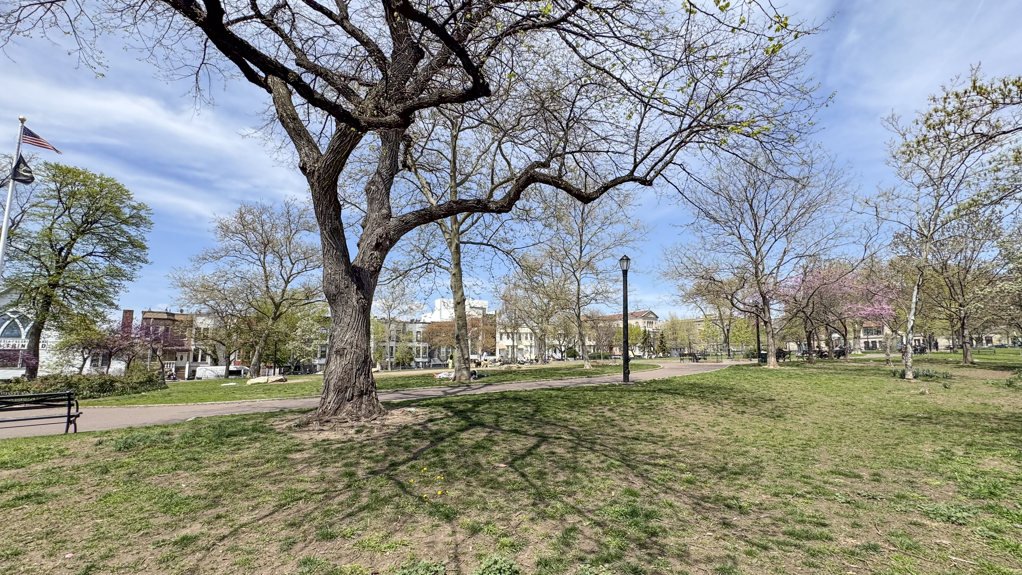 175 Eldert Street, Unit 1 Brooklyn, NY 11207 - Photo 10 of 12 a tree in the middle of a yard