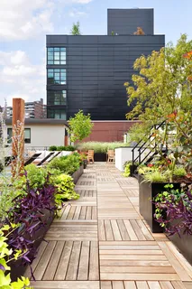 a view of a garden with flowers and flowers