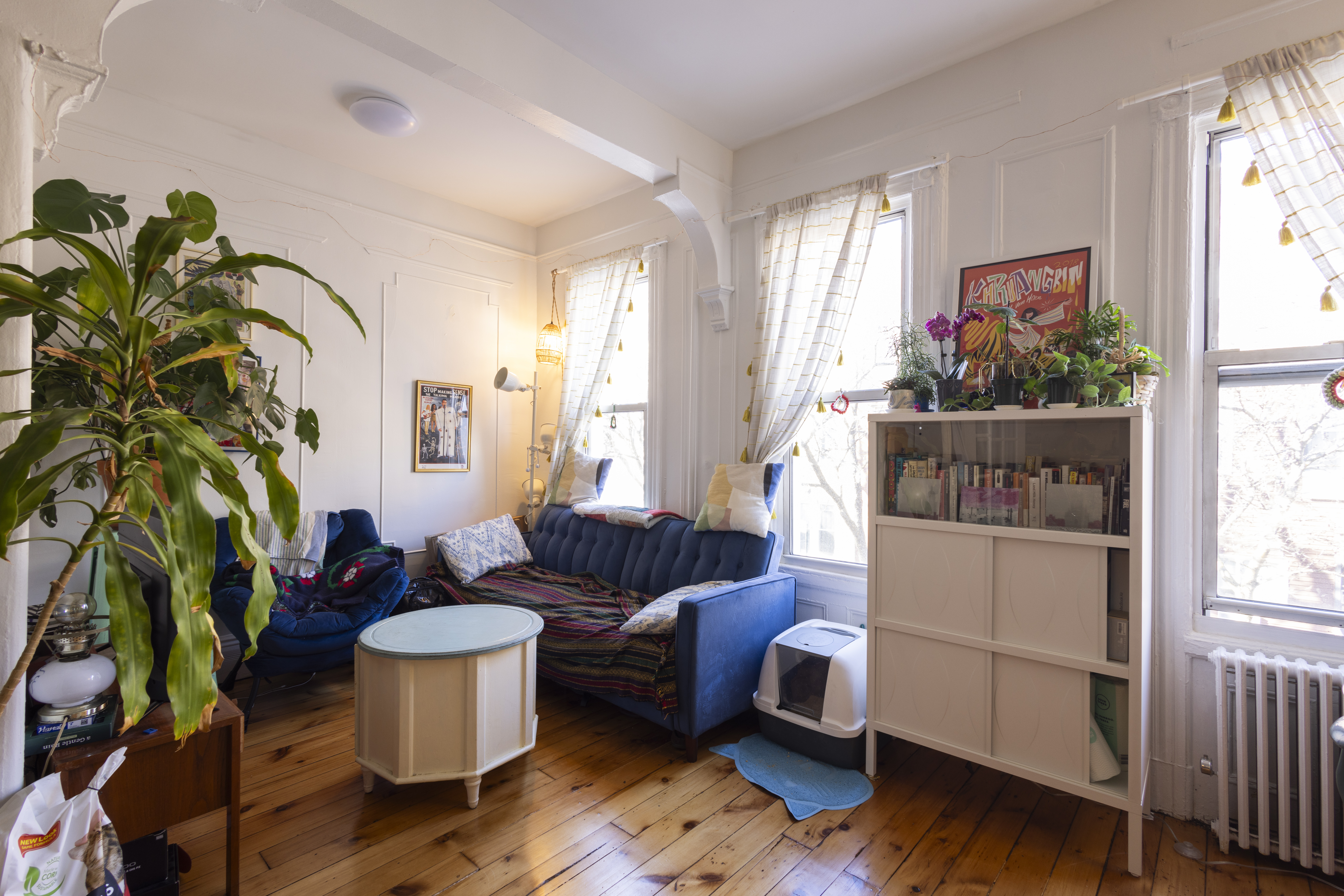 40 A Jewel Street, Unit 2 Brooklyn, NY 11222 - Photo 4 of 10 a living room with furniture and a potted plant