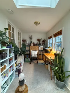 a living room with furniture and a potted plant