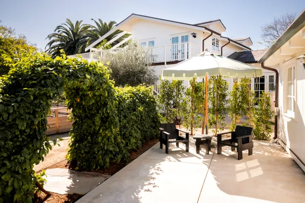 a view of a yard with plants and tree