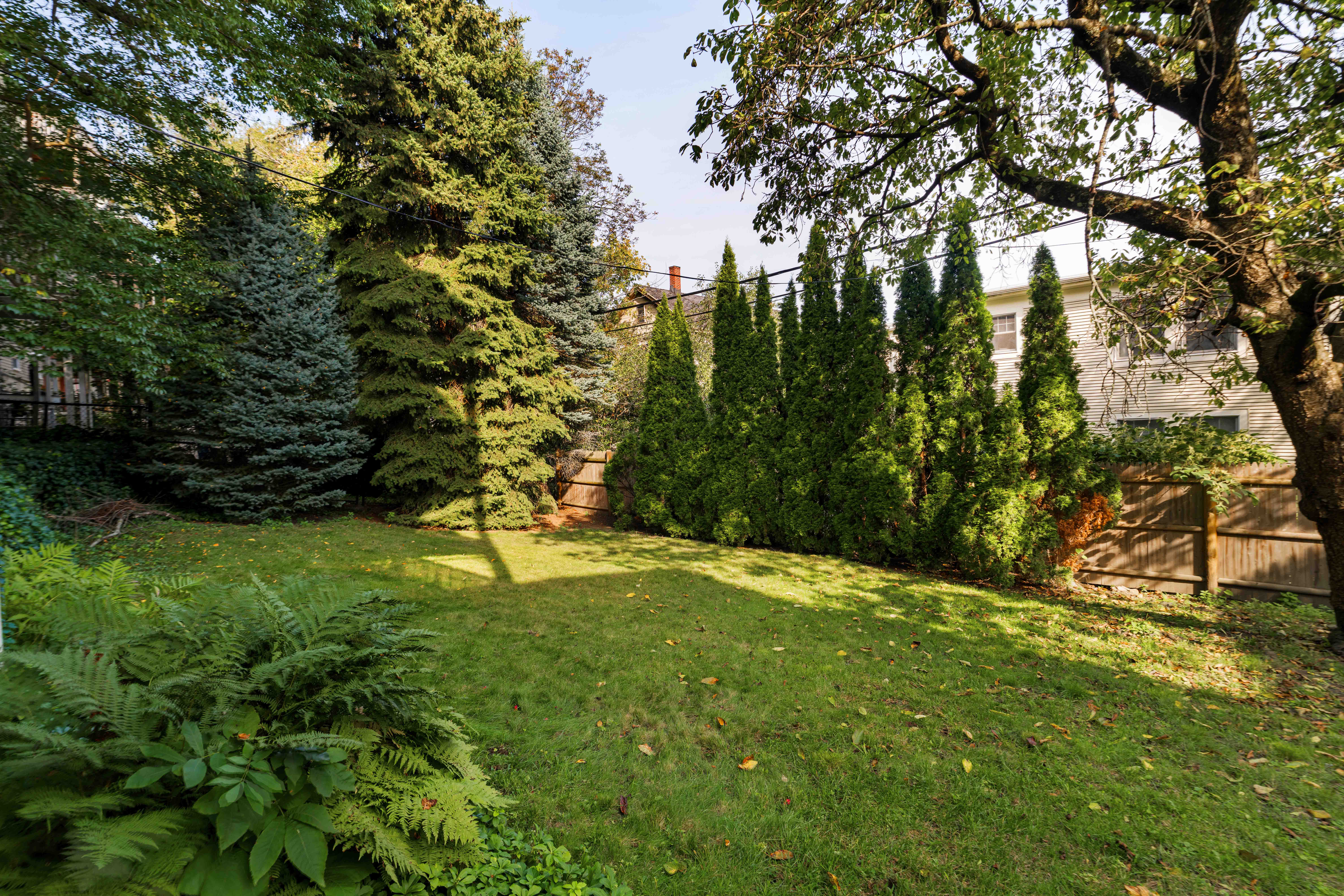 164 Calumet Street Roxbury Crossing, MA 02120 - Photo 27 of 29