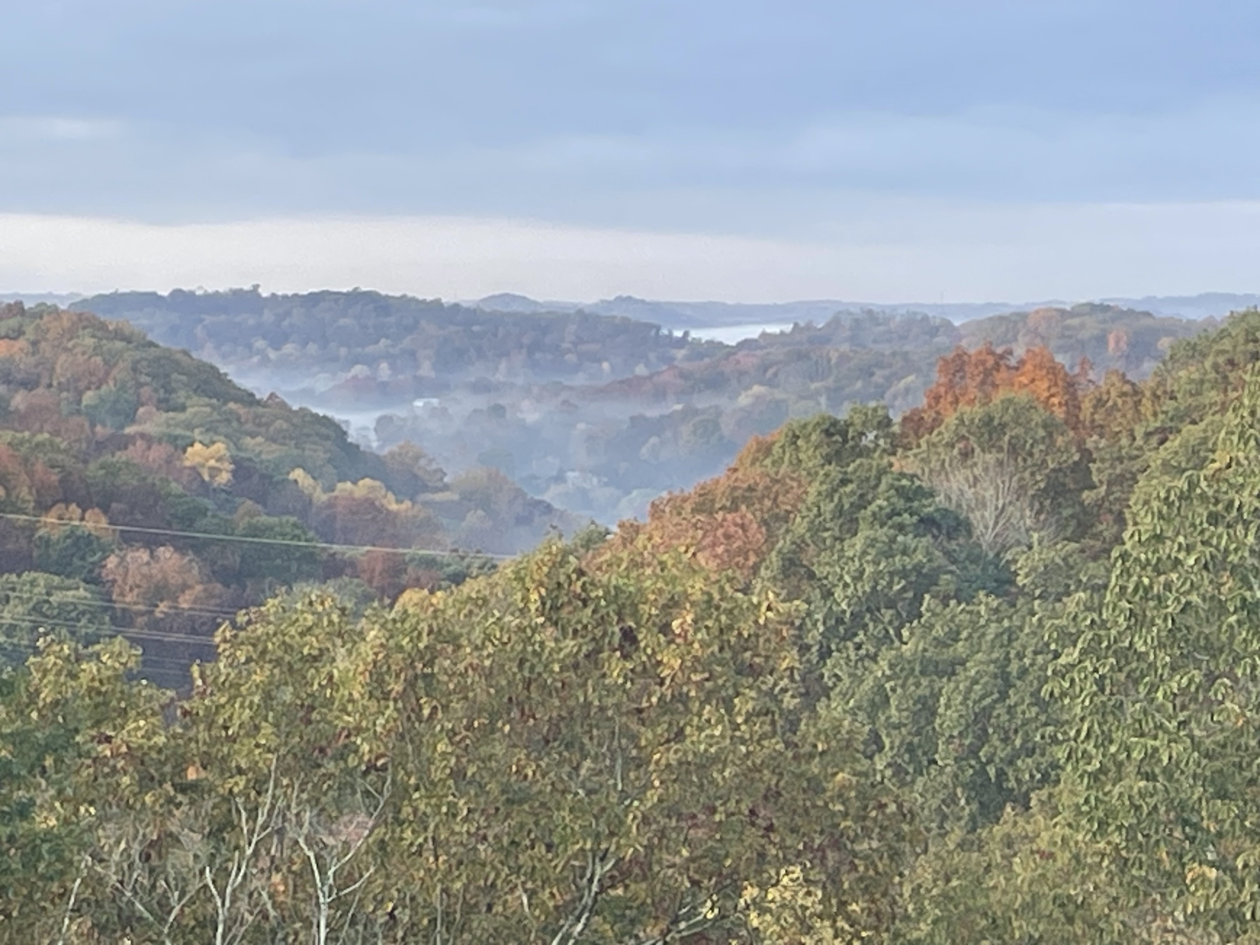 Happy Hollow Road Goodlettsville, TN 37072 - Photo 3 of 203