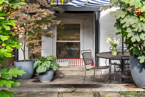 a potted plant sitting on the side of a building
