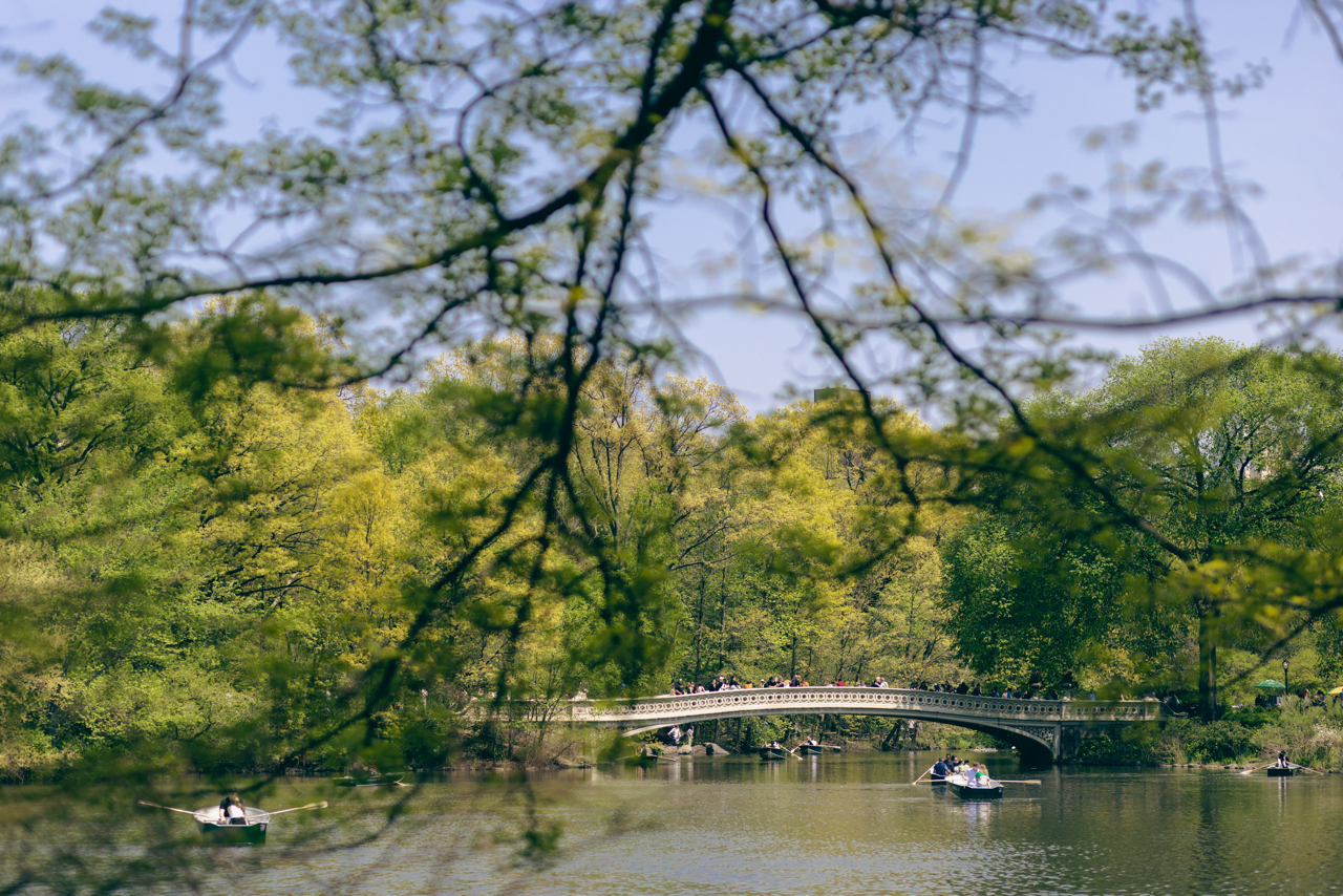 20 West 64th Street, Unit 41H Manhattan, NY 10023 - Photo 29 of 39 a view of swimming pool with yard
