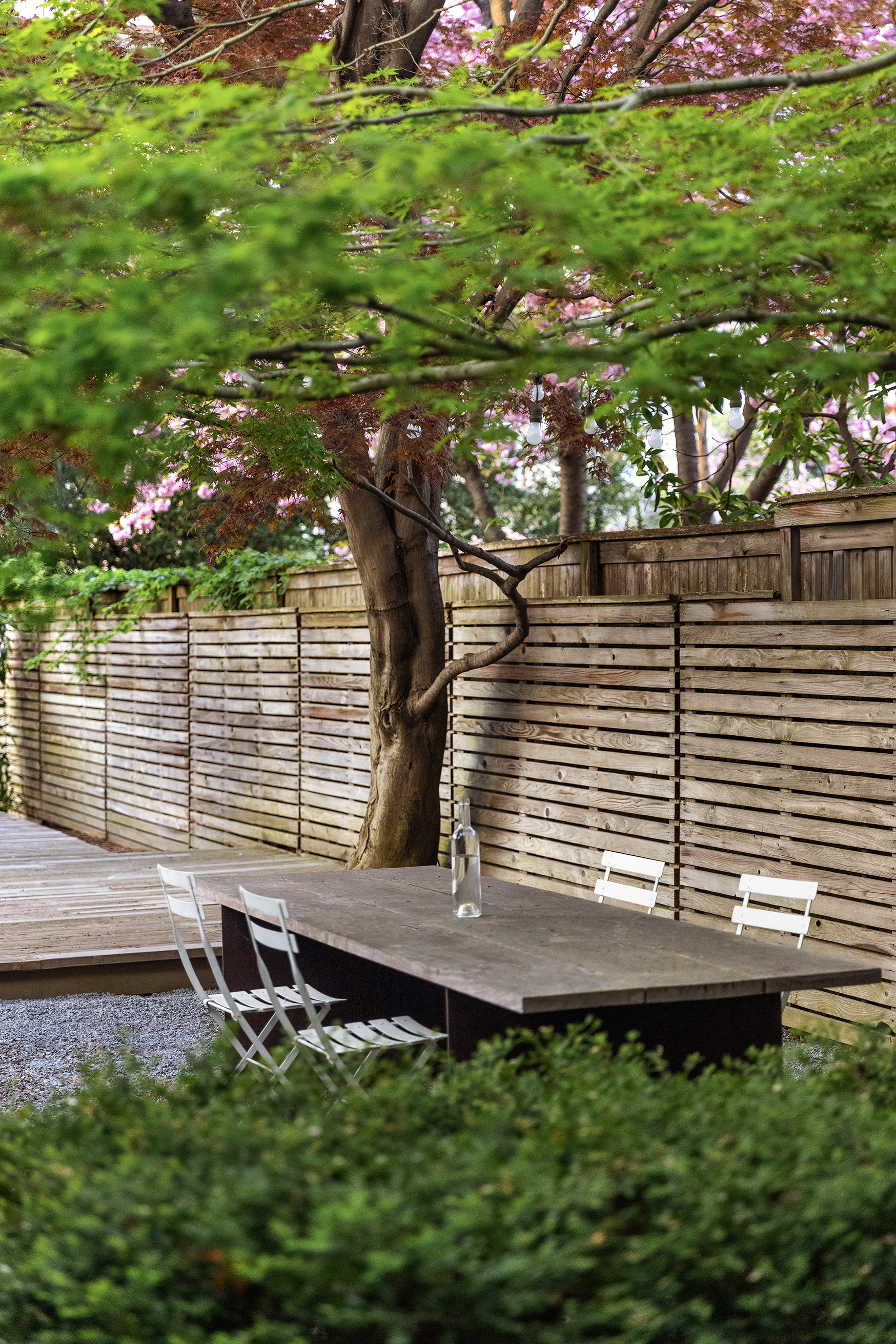 177 Prospect Place Brooklyn, NY 11238 - Photo 16 of 42 a view of backyard with garden