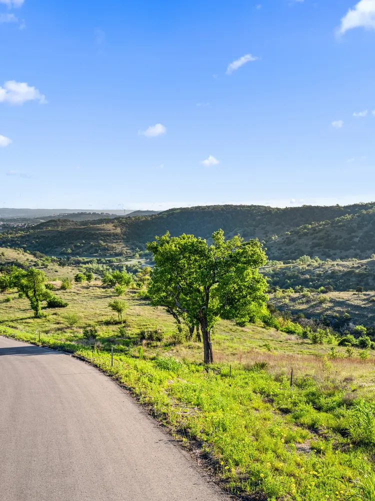 a view of a garden with a lake