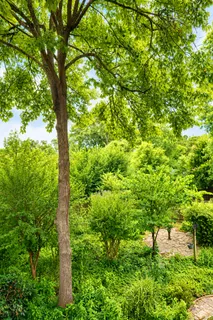 $774,900 | 8317 Cherry Valley Lane, Alexandria, VA 22309
