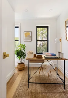 a living room with furniture and a potted plant