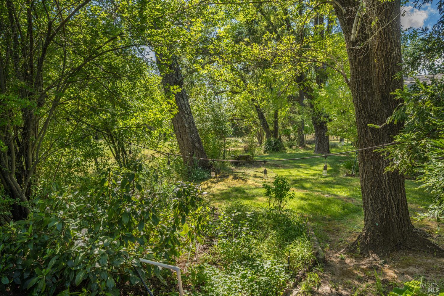 18320-18330 Carriger Road Sonoma, CA 95476 - Photo 29 of 46