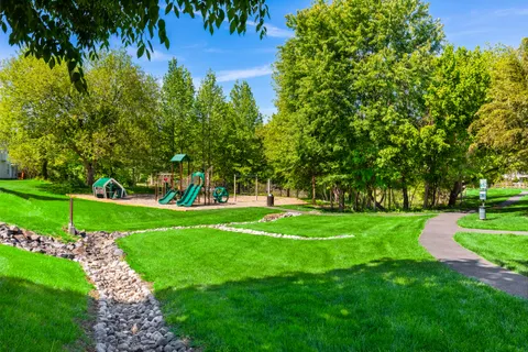 a view of a park with large trees