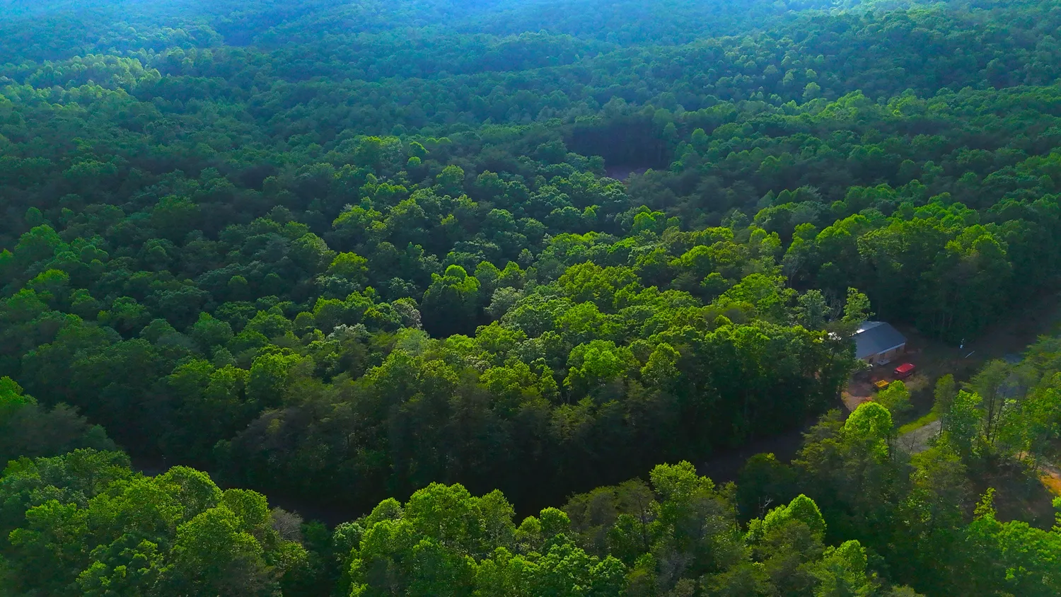 a view of outdoor space and trees all around