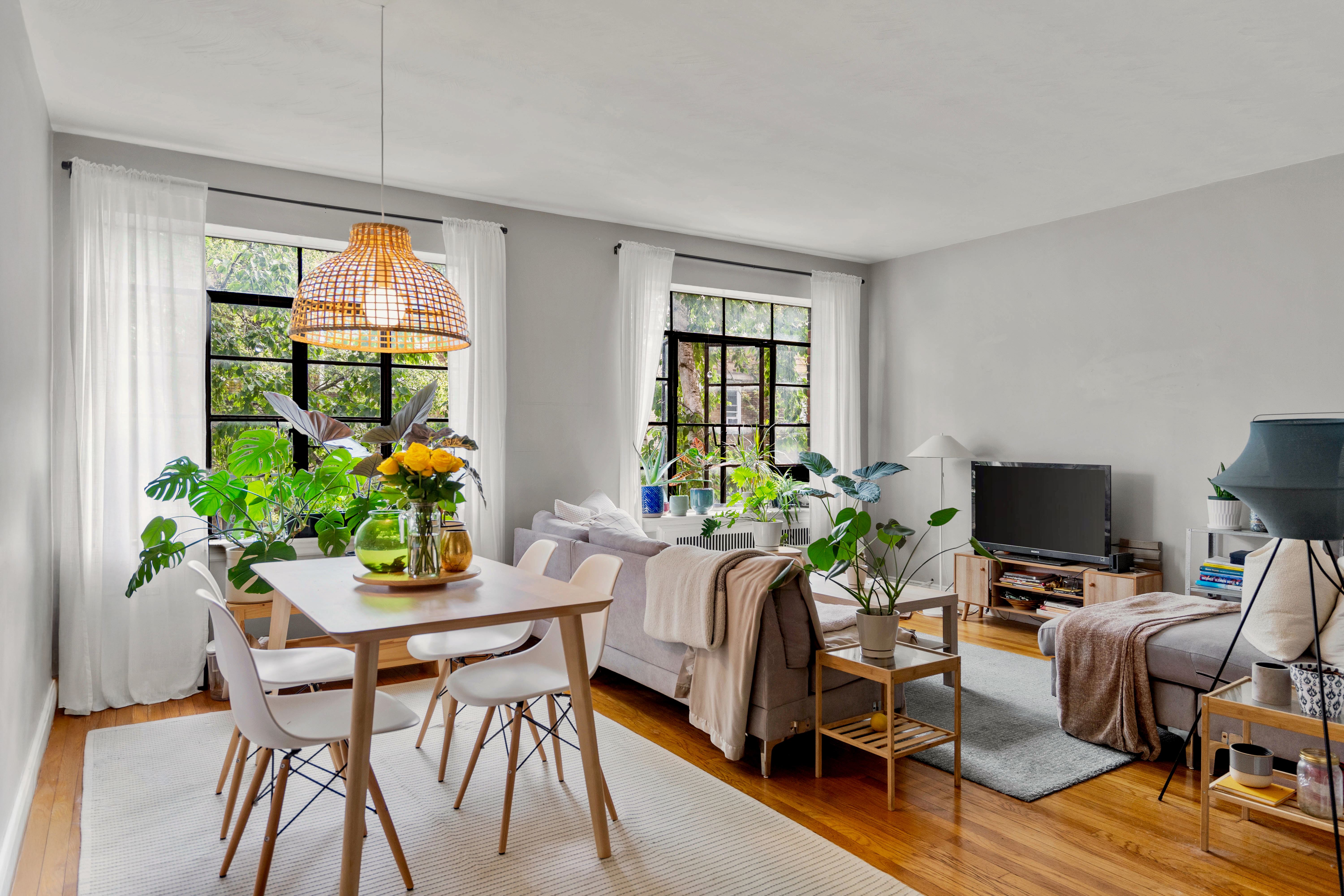 a living room with furniture a potted plant and a flat screen tv
