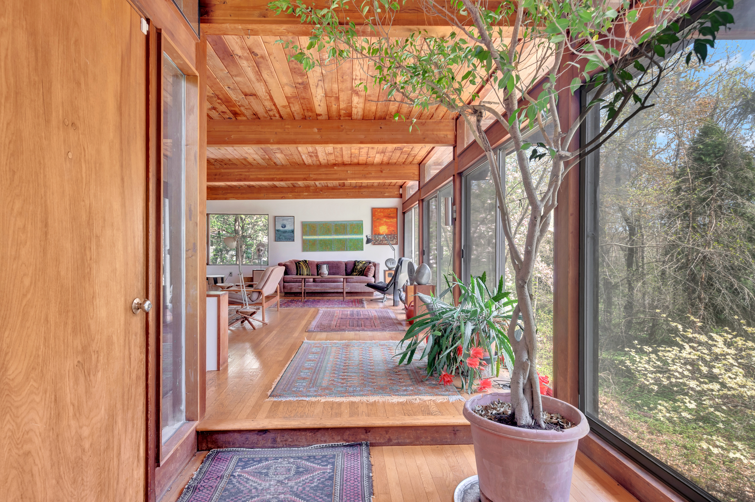 a living room filled with furniture and a potted plant