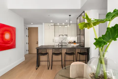 a view of a dining room with furniture a potted plant and wooden floor