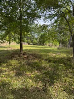 $15,000 | 20 Lake Forest Drive, Livingston, TX 77351