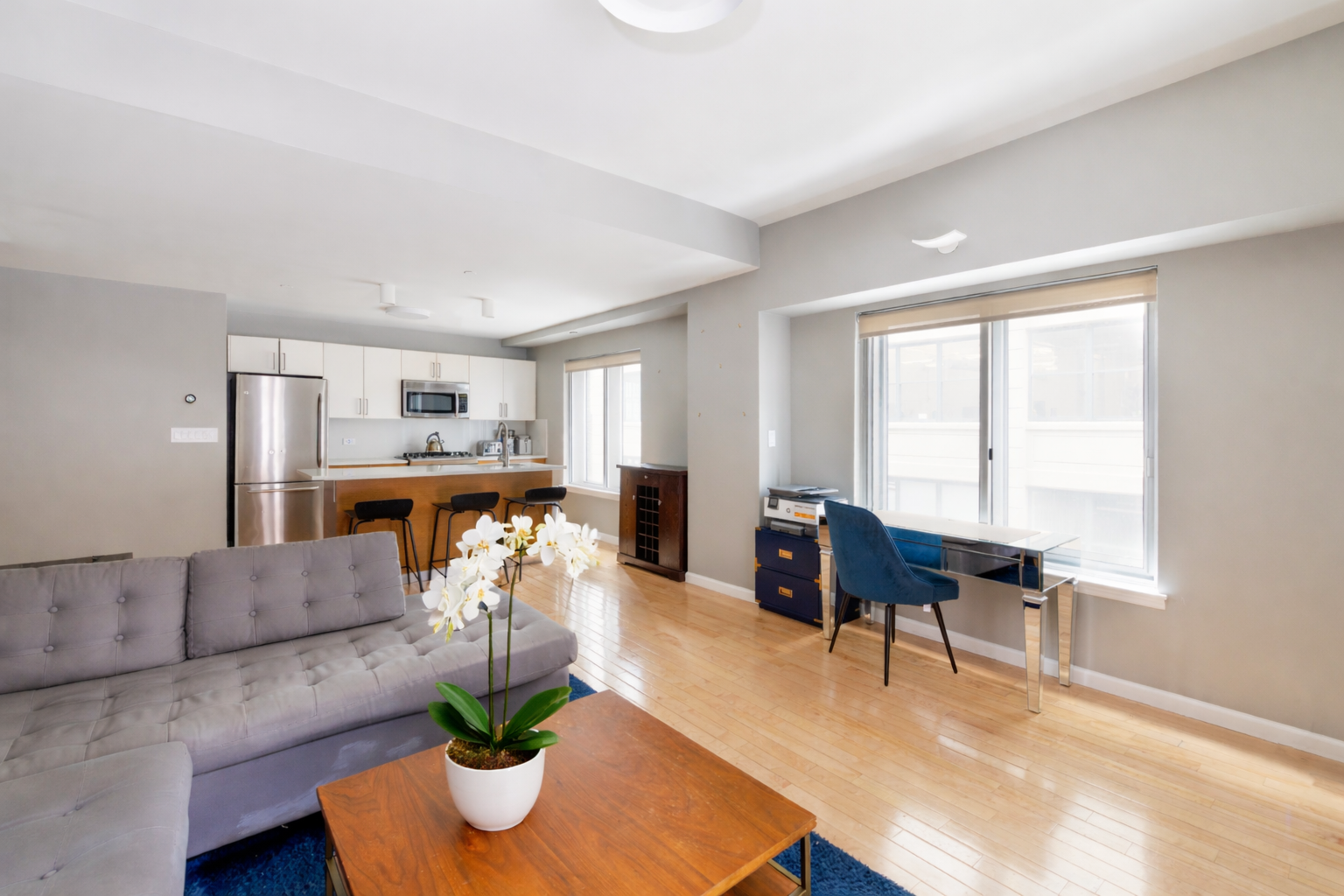 133 Water Street, Unit 4E Brooklyn, NY 11201 - Photo 10 of 21 a living room with furniture and a potted plant