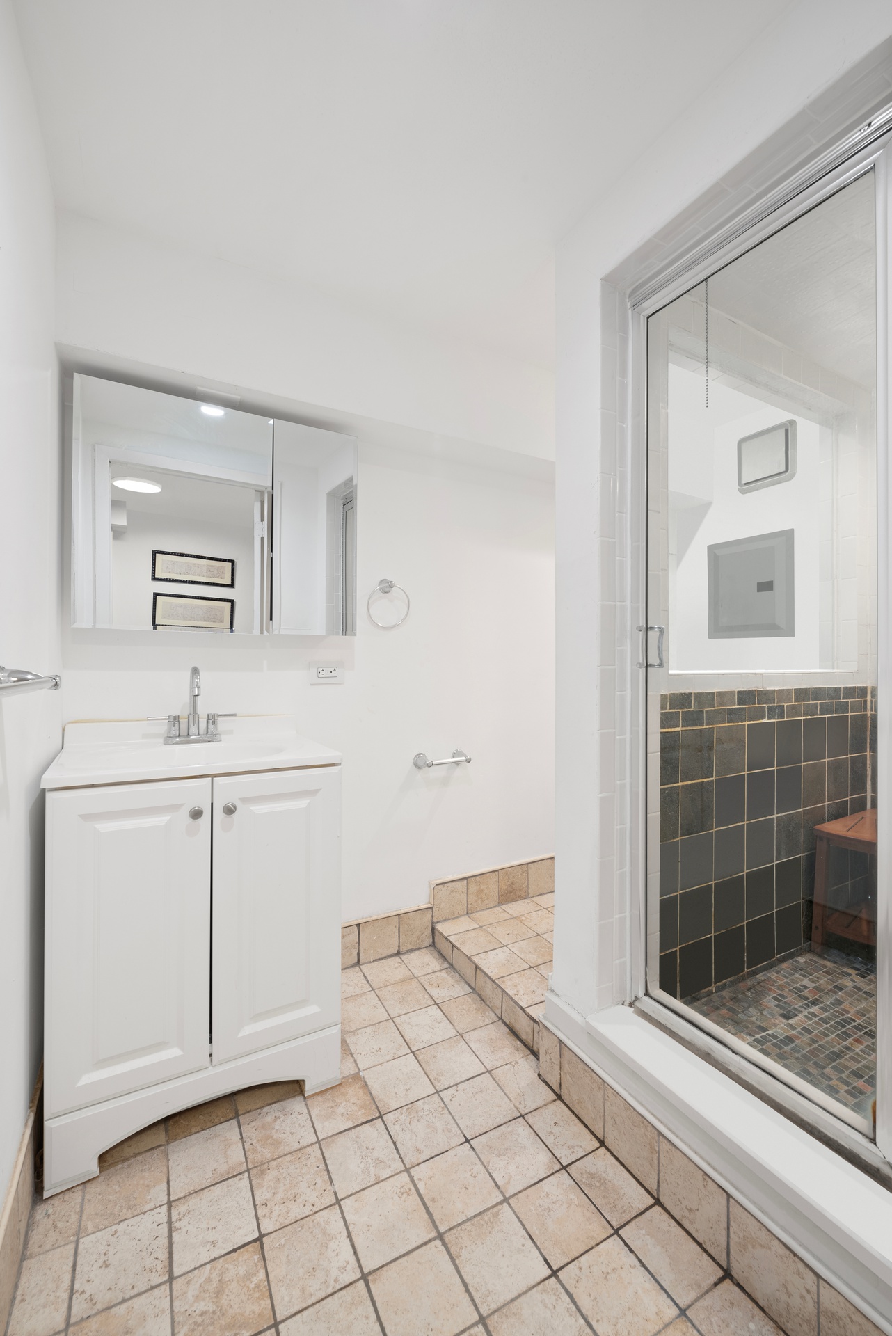 356 Broadway, Unit 1A Manhattan, NY 10013 - Photo 7 of 8