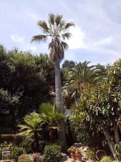 $1,600,000 | Sunswept Drive, Studio City, CA 91604