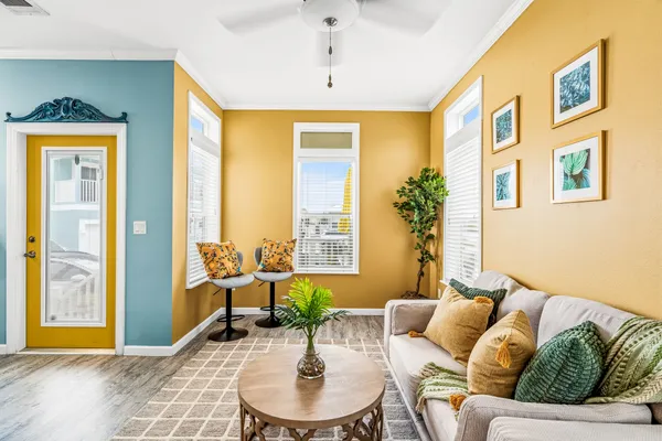 a living room with furniture and a potted plant