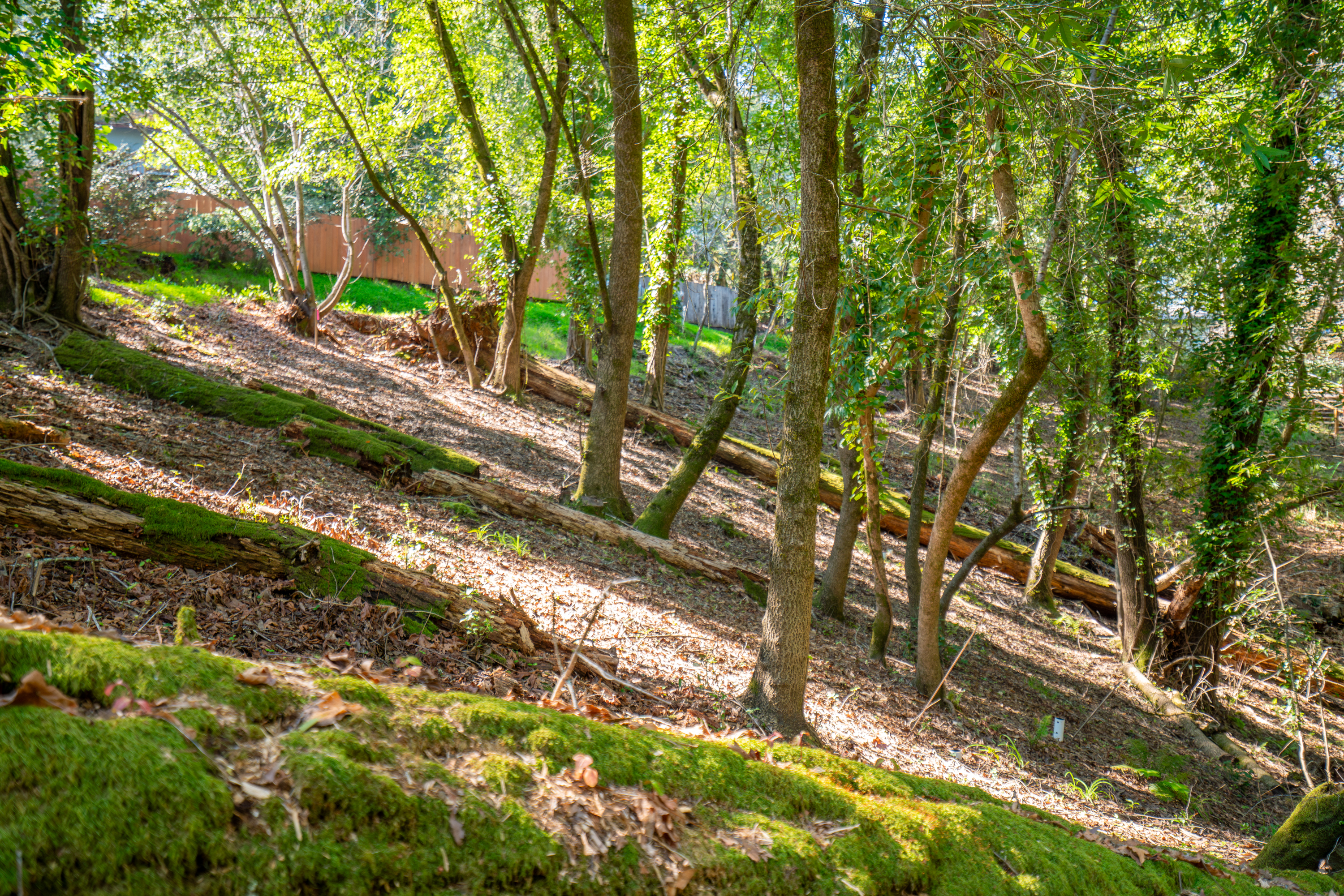 10612 Canyon Road Forestville, CA 95436 - Photo 9 of 15 a backyard of a house with a yard and outdoor seating