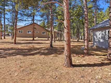 $750,000 | 1301 Stone Ridge Drive, Woodland Park, CO 80863