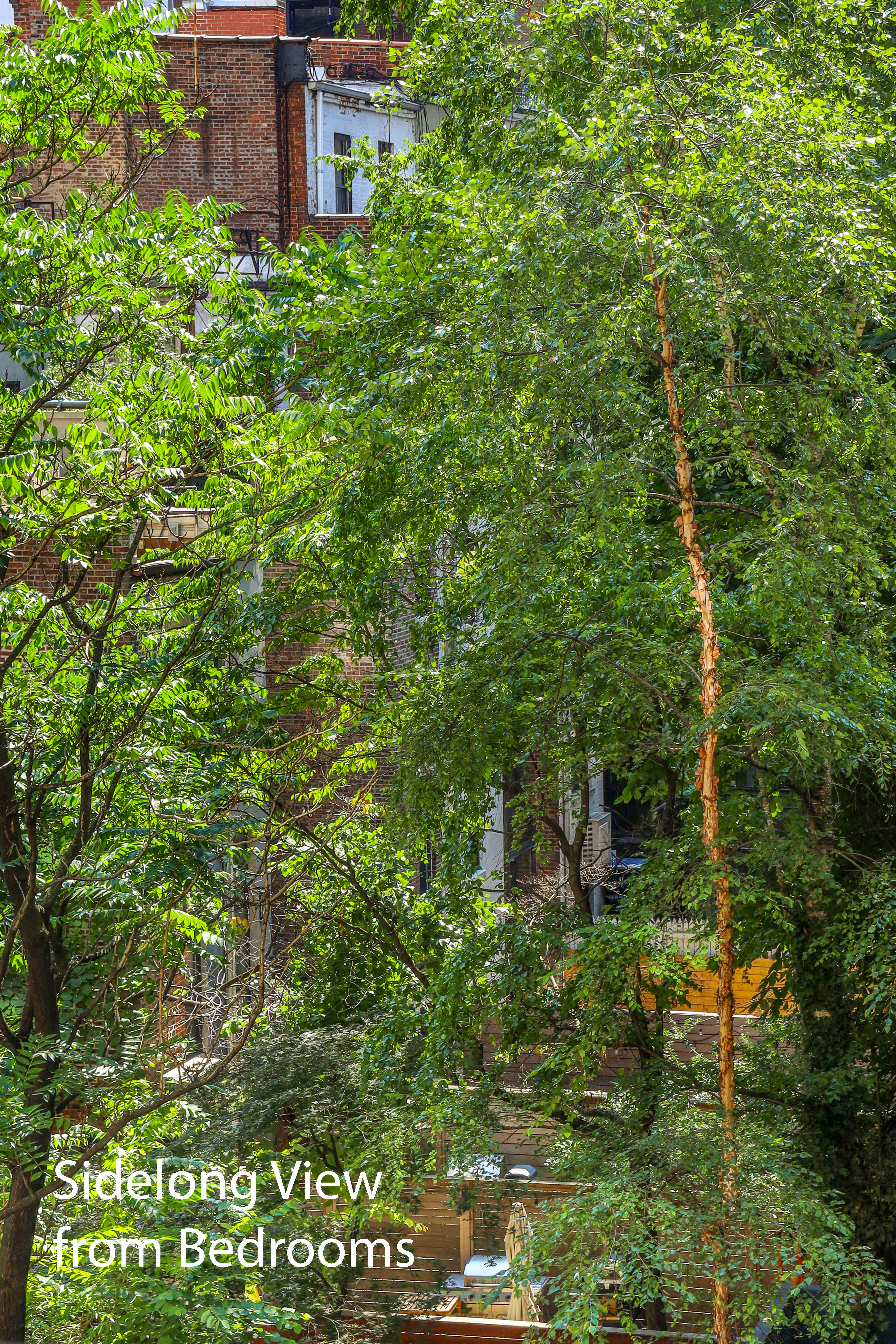 50 Riverside Drive, Unit 5E Manhattan, NY 10024 - Photo 8 of 22 a backyard of a house with lots of green space