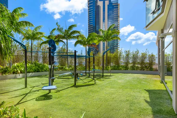 a view of a park with palm trees