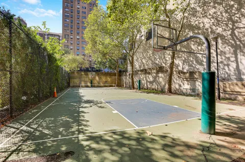 a view of a yard with plants and trees