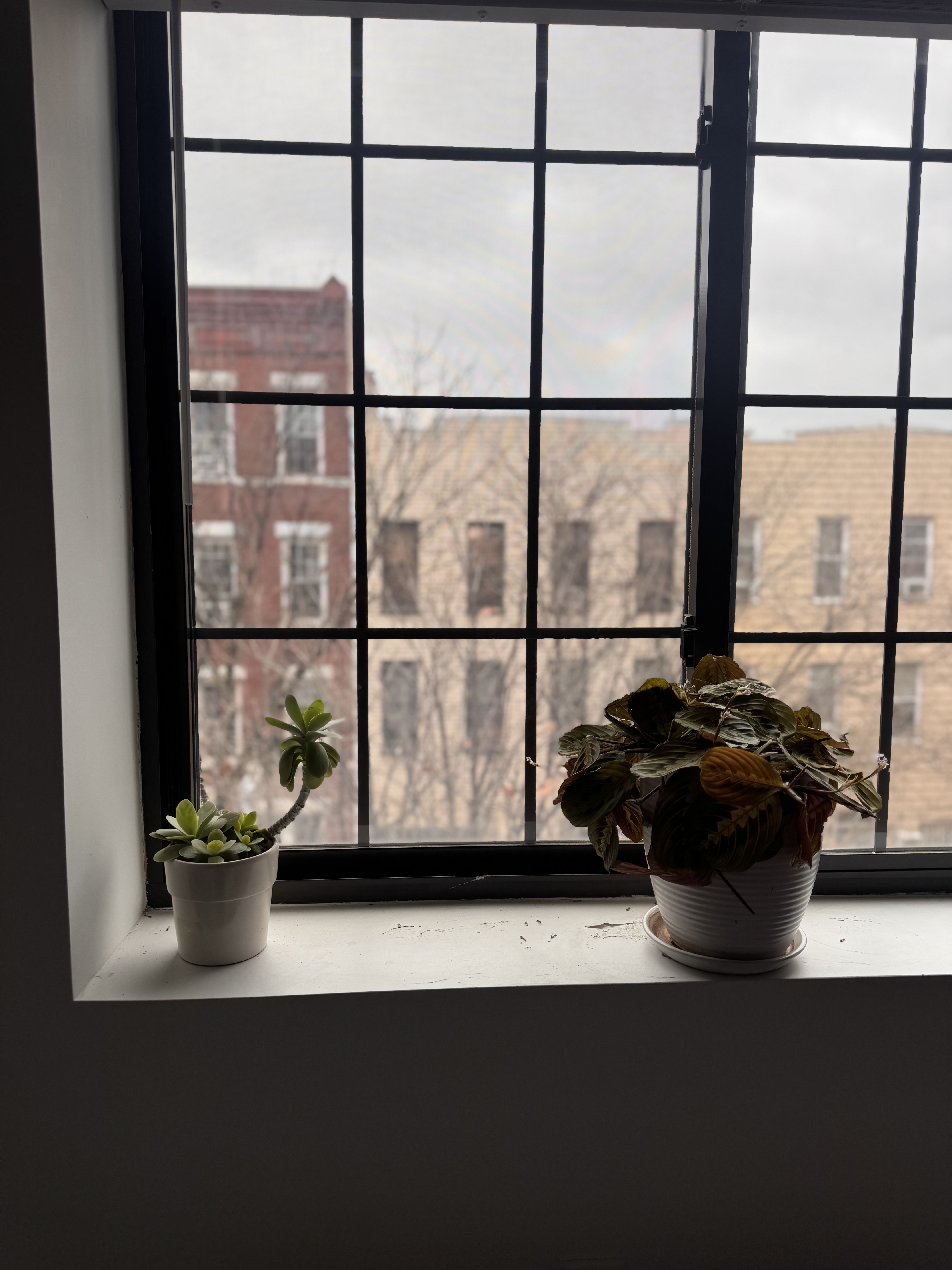 201 Huron Street, Unit 4F Brooklyn, NY 11222 - Photo 6 of 12 a view of a black and white flower pot on a table