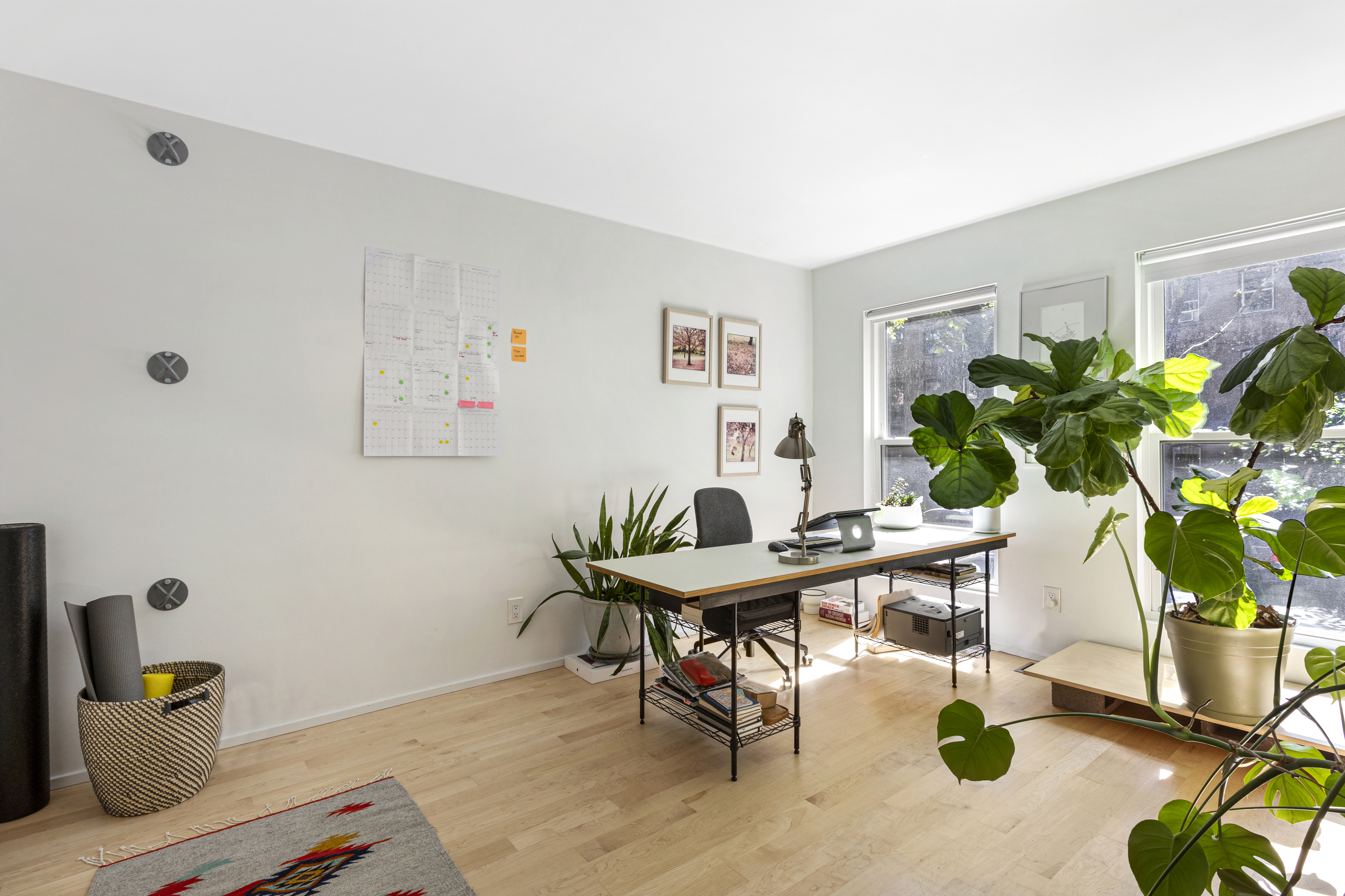 329 Grand Avenue, Unit B Brooklyn, NY 11238 - Photo 4 of 9 a workspace with furniture and a potted plant
