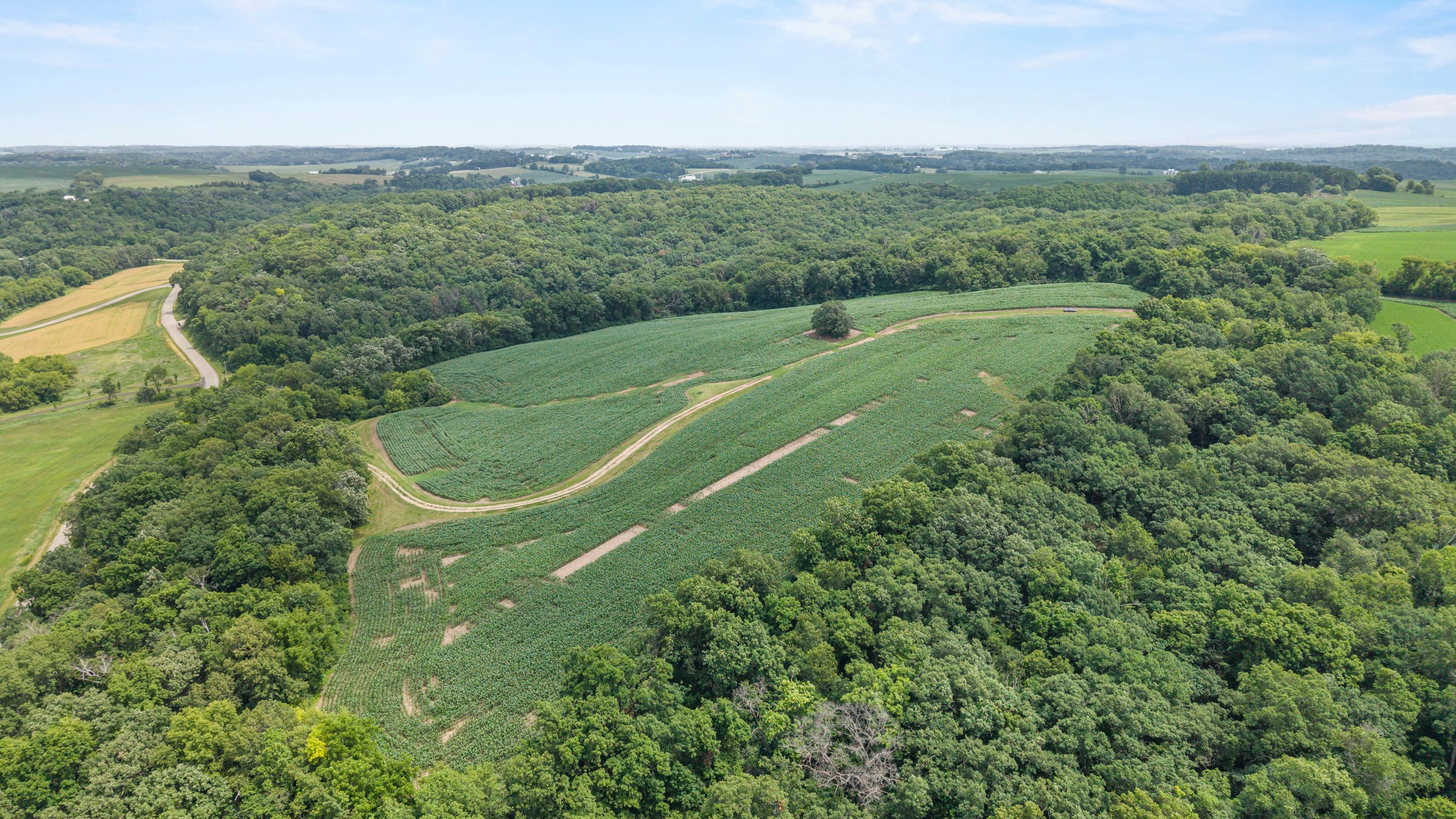 146 /- Acres Otto Kerl Road Cross Plains, WI 53528 - Photo 5 of 20