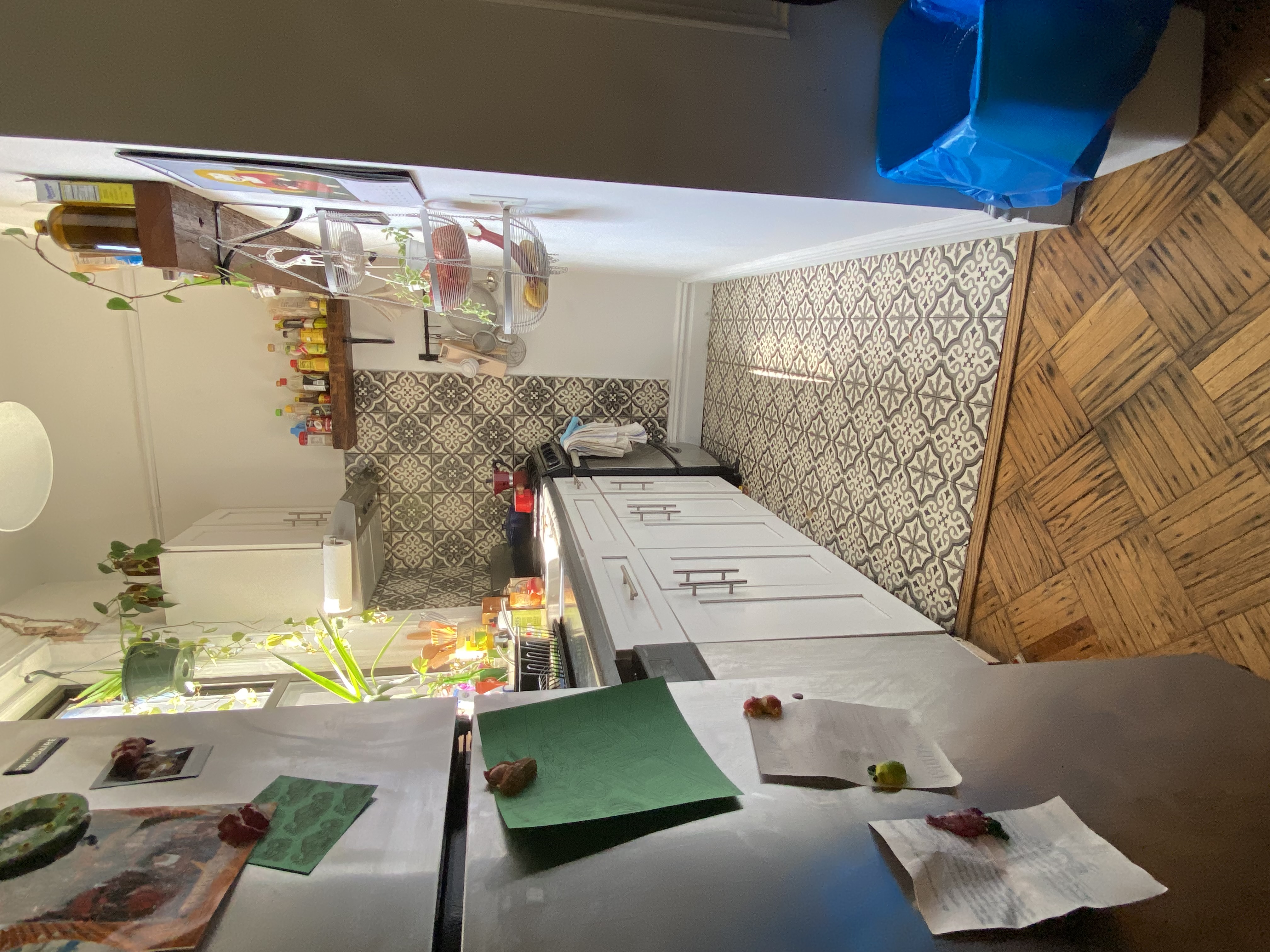 414 Madison Street, Unit PARLOR Brooklyn, NY 11221 - Photo 5 of 9