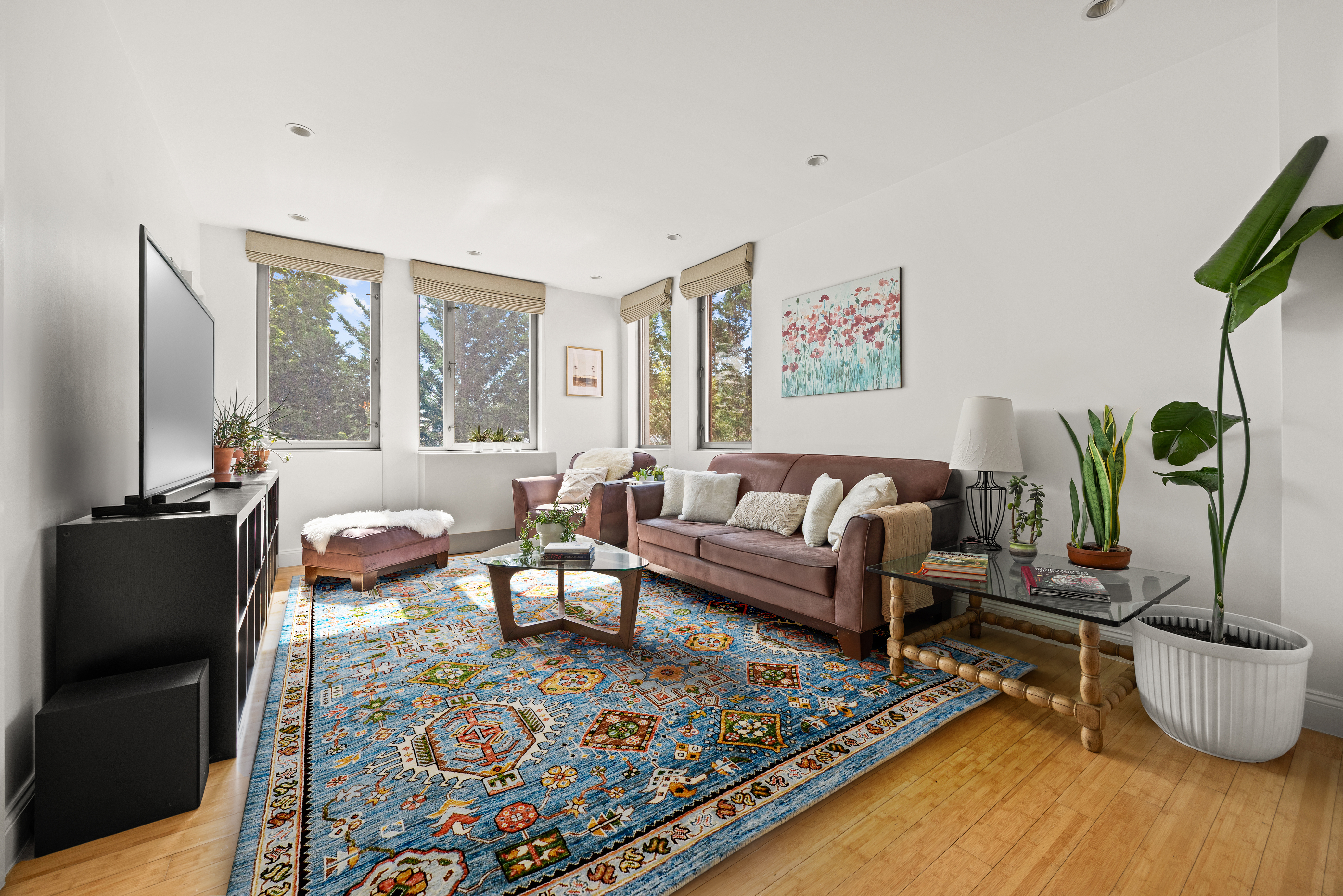 a living room with furniture and a potted plant