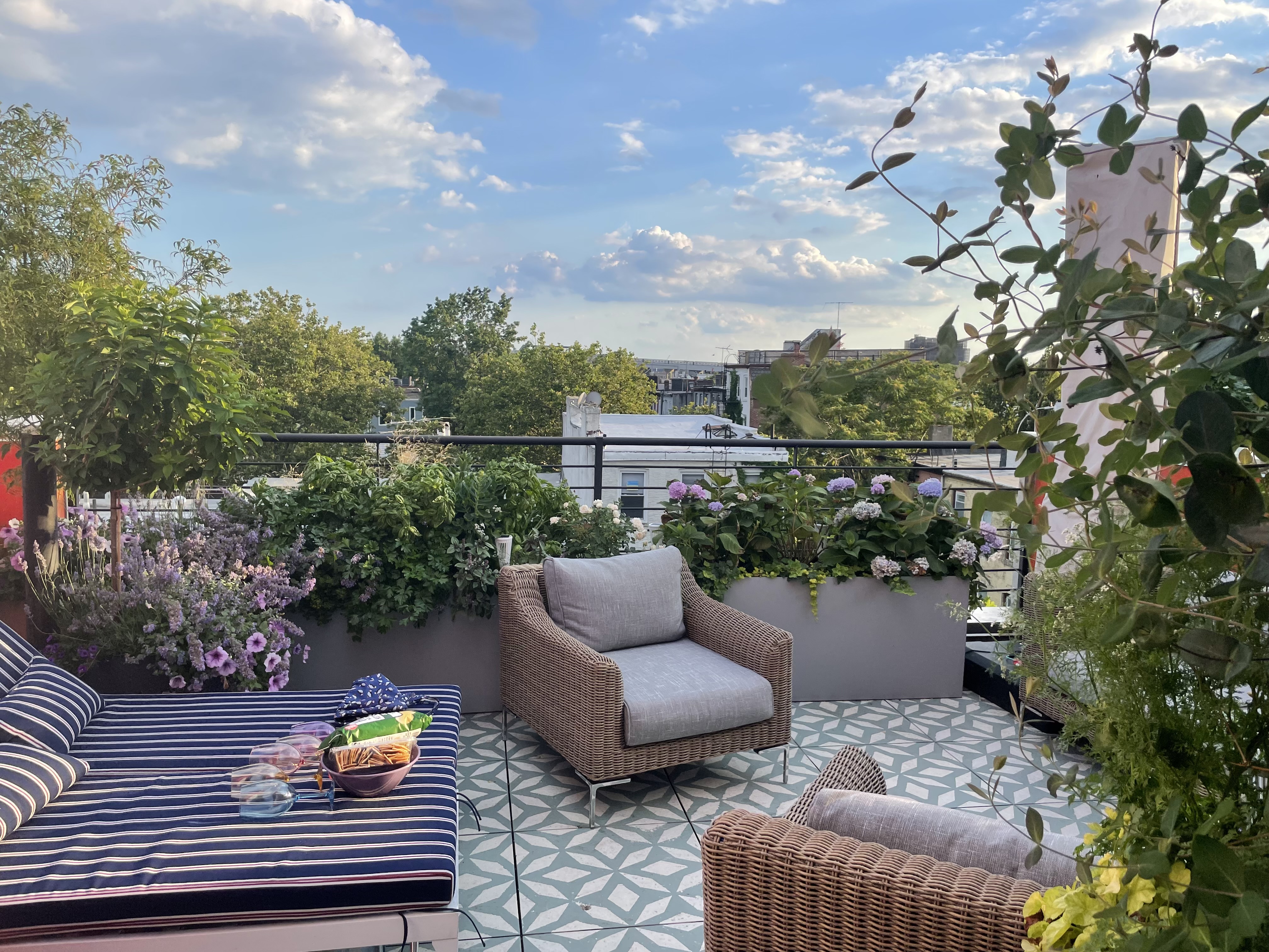 316 Carroll Street, Unit 2 Brooklyn, NY 11231 - Photo 10 of 12 a view of a patio with couches table and chairs and potted plants