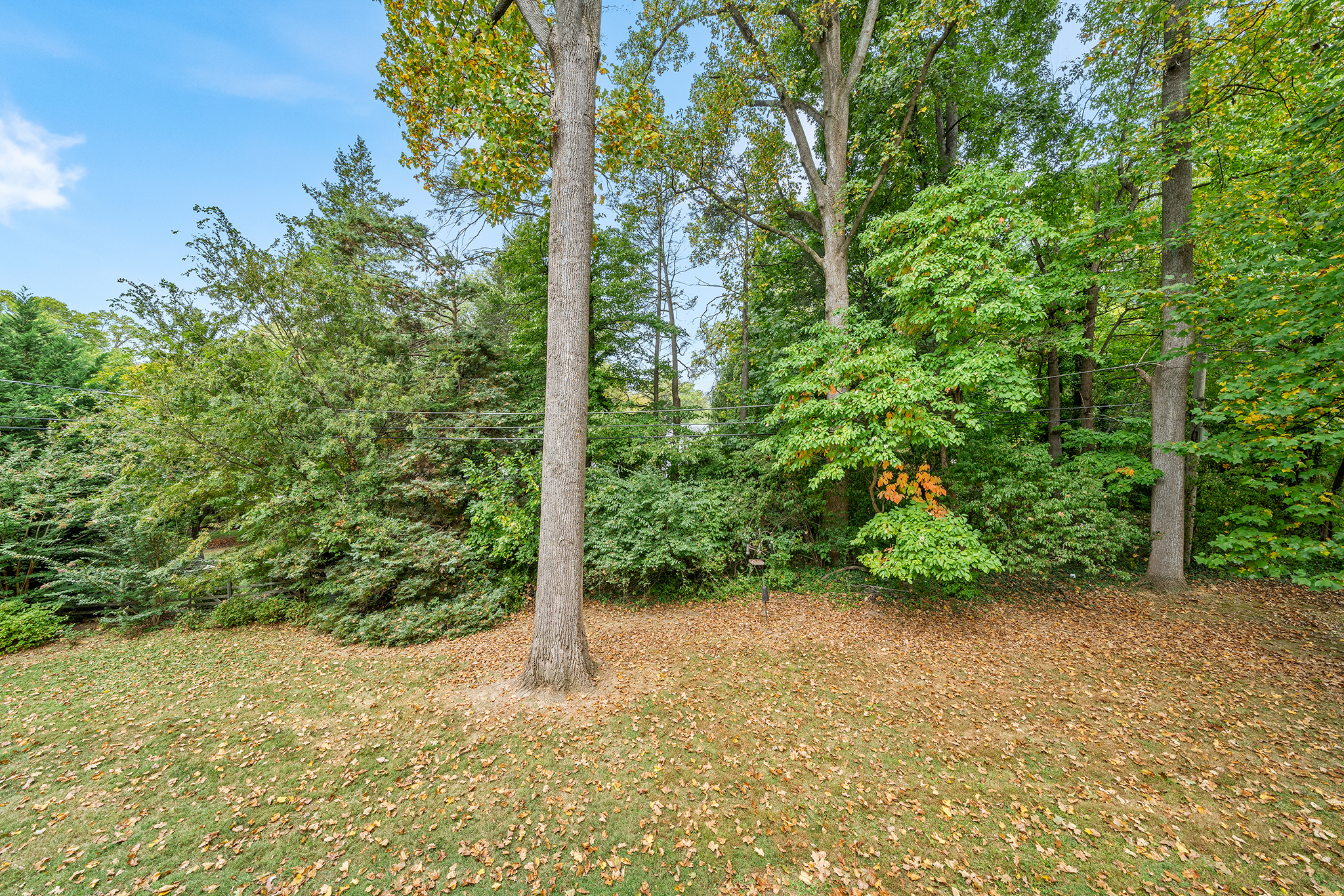 718 Arlington Road Narberth, PA 19072 - Photo 38 of 47 a view of a garden with plants