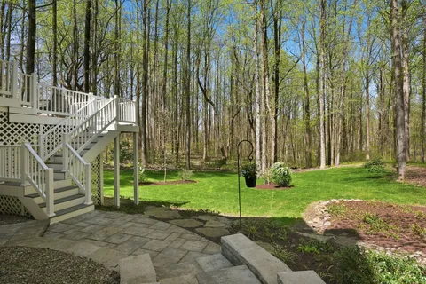 a view of a backyard with potted plants