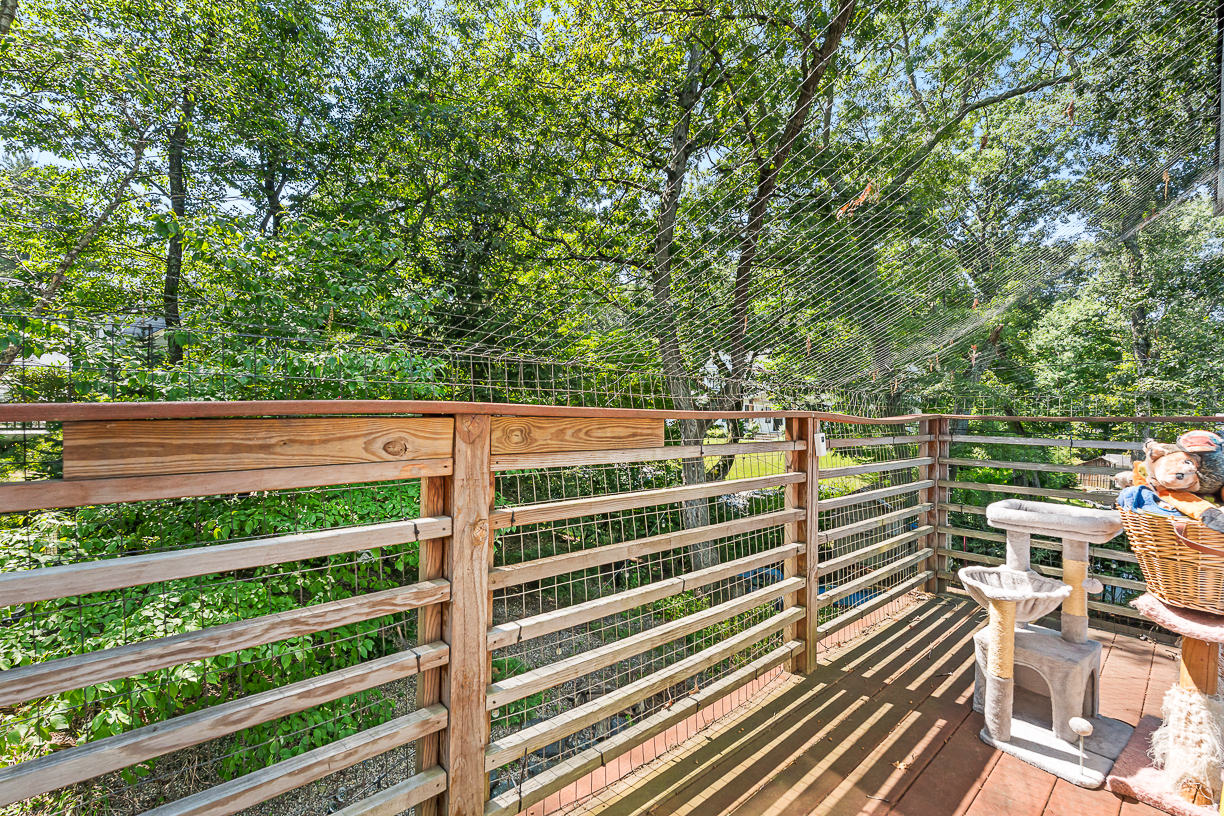 53 Sheridan Road Wellesley Hills, MA 02481 - Photo 49 of 75 Gallery Image 49