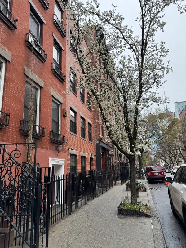 a row of cars parked on the side of street