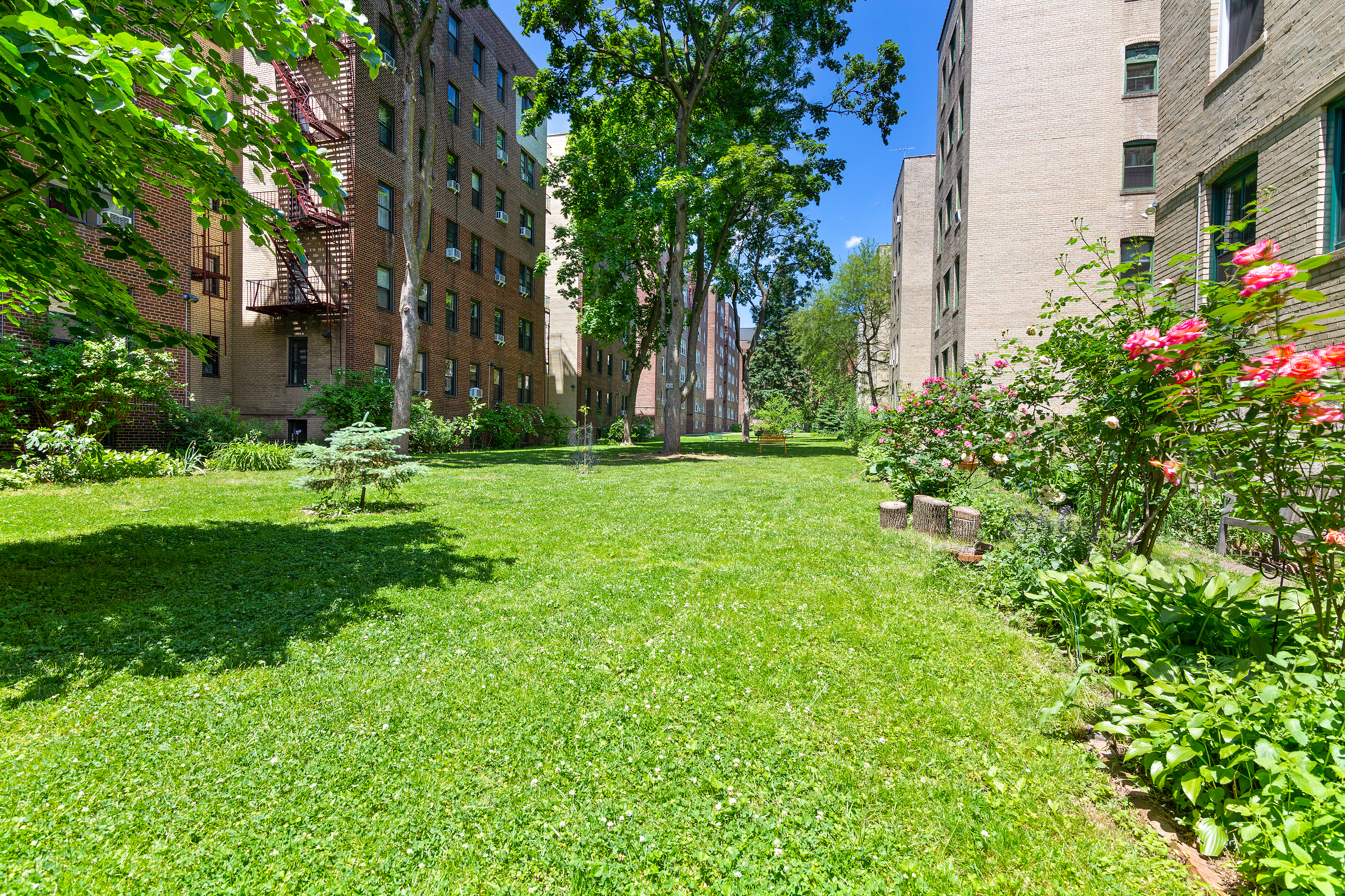 35-47 80th Street, Unit 21 Queens, NY 11372 - Photo 12 of 14 a garden with flowers and trees