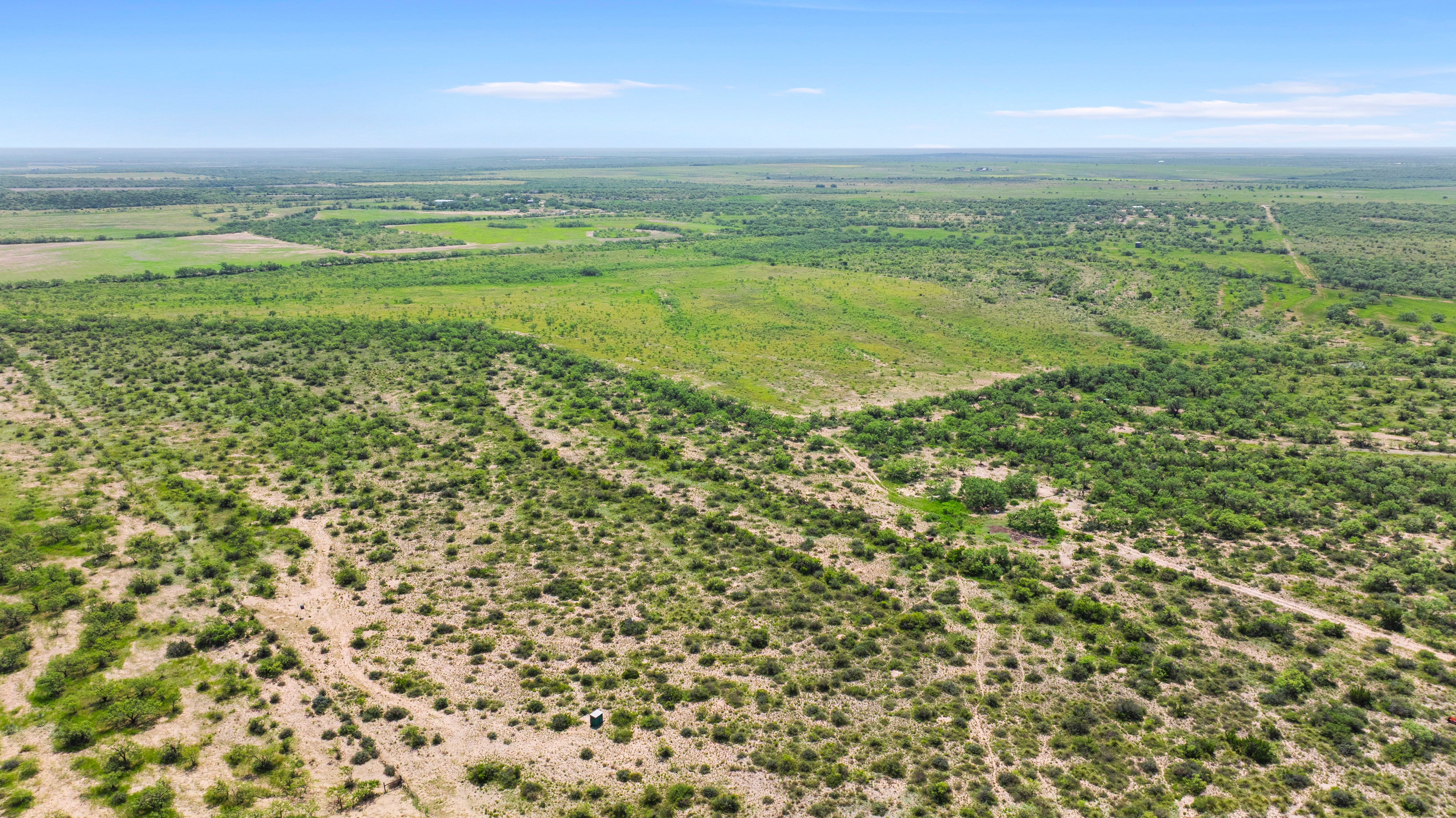 0 Fm 2647 Ballinger, TX 76821 - Photo 14 of 17 Gallery Image 14
