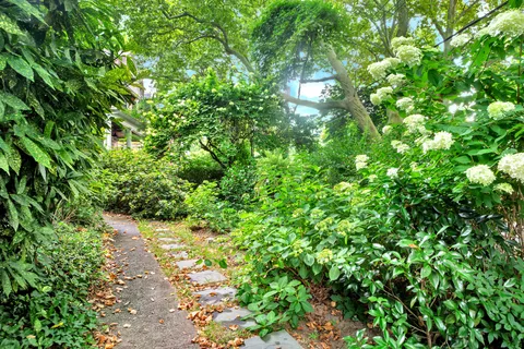 a kitchen with a window and cabinets