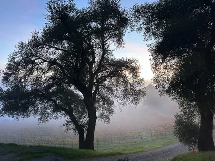 $1,795,000 | 31920 Pine Mountain Road, Cloverdale, CA 95425